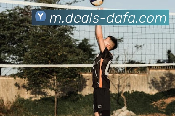 大发彩票服务体系